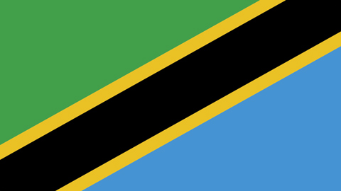 Tanzania flag